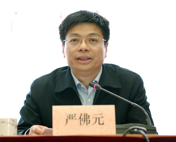 江西省政府副秘書長、省駐京辦黨組書記、主任嚴(yán)佛元.JPG